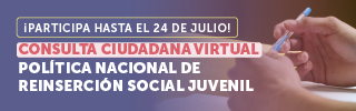 Consulta participativa Reinserción Social Juvenil