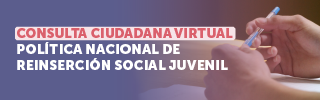 Consulta participativa Reinserción Social Juvenil