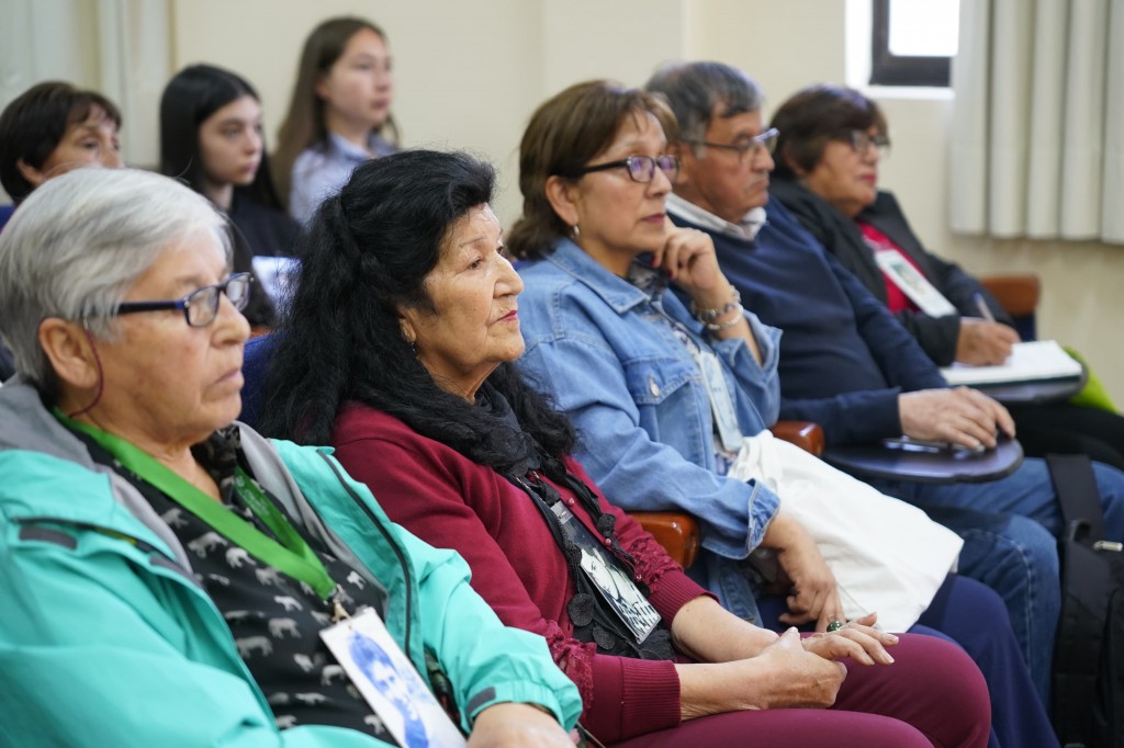 WhatsApp Image 2024-11-15 at 15.35.01