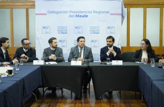 Maule_Gabinete_02