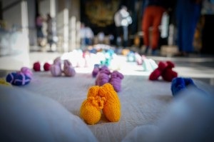 Informe_MesaAdopcionesIrregulares_06